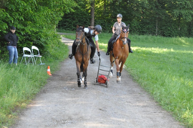 DSC_0242 - HOMEPAGE.JPG